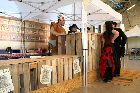 IMG_3380_resize.JPG